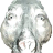 balloonhvh